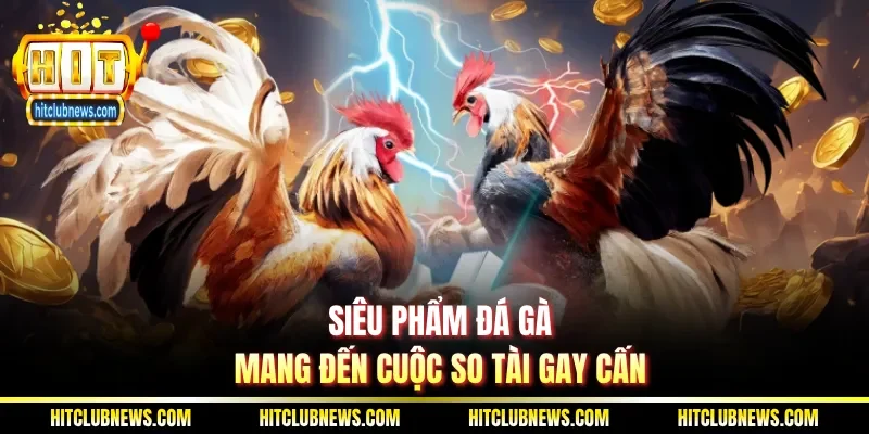 Siêu phẩm đá gà mang đến cuộc so tài gay cấn